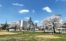 ①中野セントラルパーク（公園） 外観