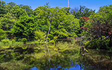 有栖川宮記念公園 外観