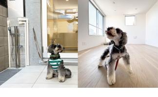 【特集】都会で叶えるペット共生型レジデンス